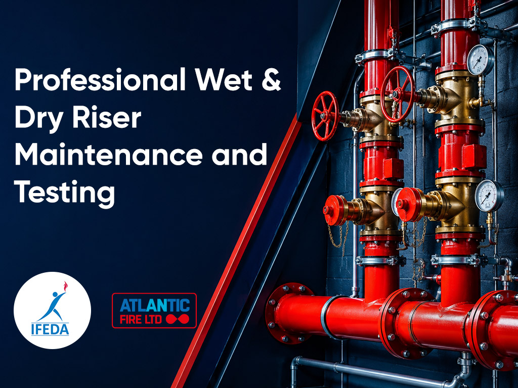 Professional Wet and Dry Riser Maintenance and Testing graphic showing red riser pipes, valves and pressure gauges